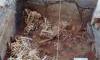 areas_fot_tabla_tem9